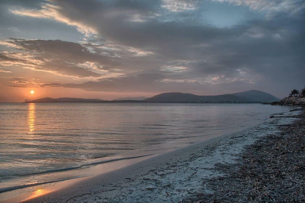 Zona Residenziale, Appartamento Incantevole Vista Mare Via Antonio Gramsci, 18, 07041 Alghero Ss Екстер'єр фото